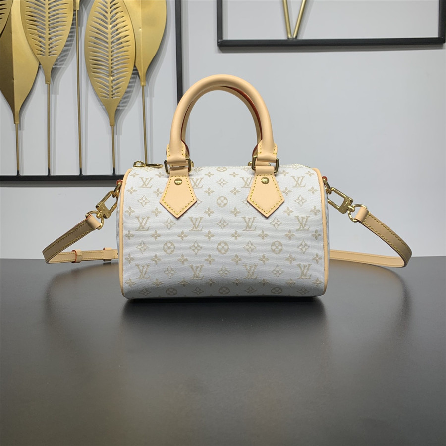 l0vis Vvtt0n lv speedy bandouliere 20 bag