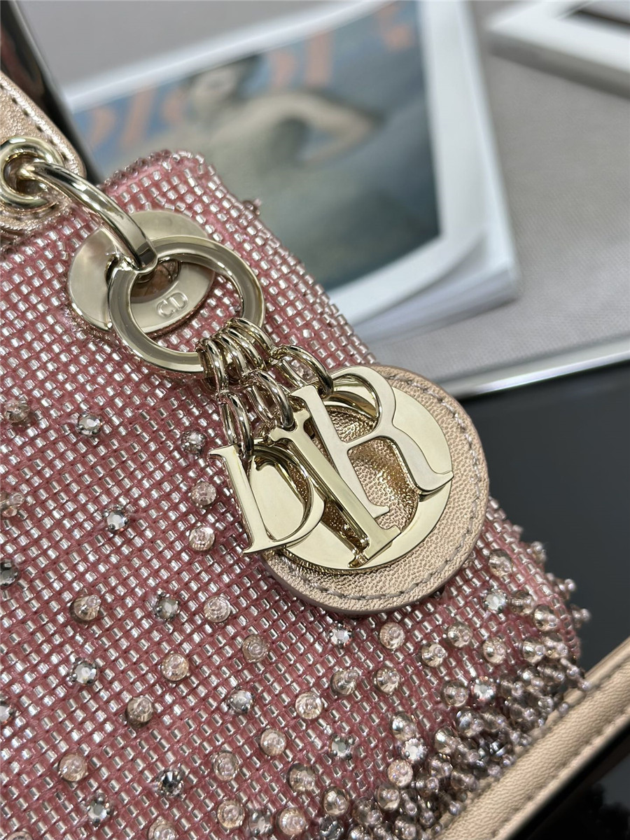 lady D10r mini embroidered beaded bag