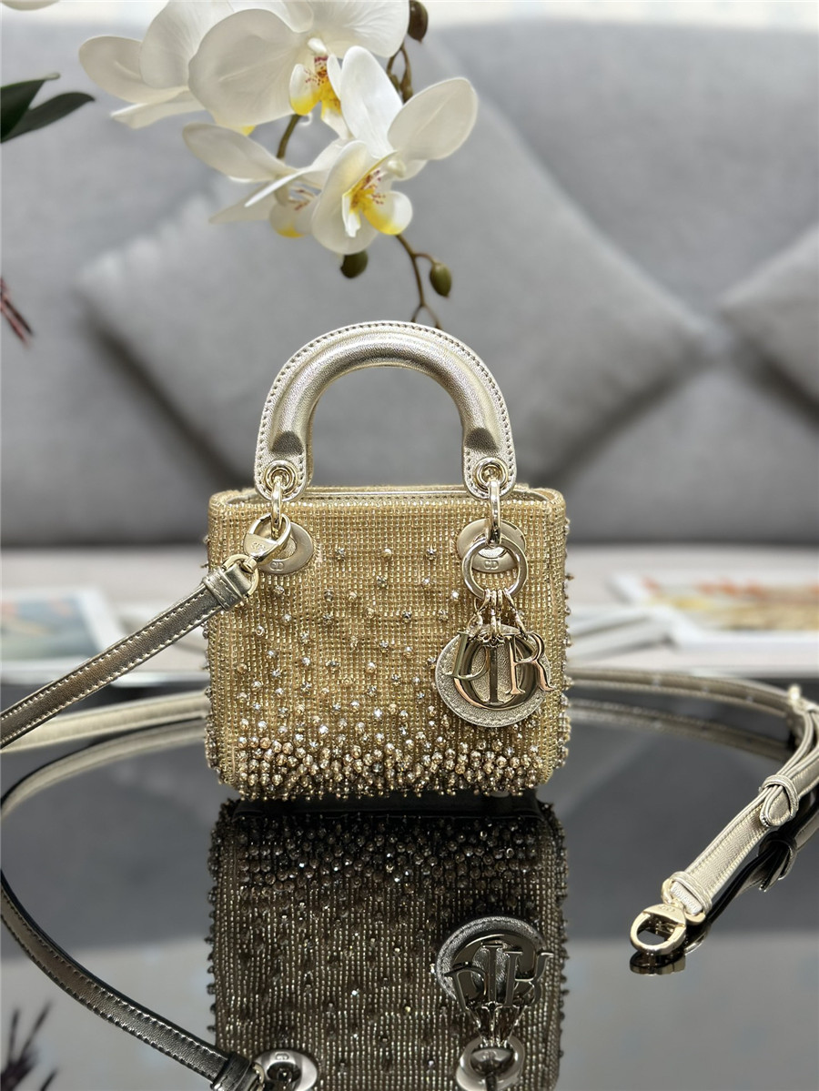 lady D10r mini embroidered beaded bag