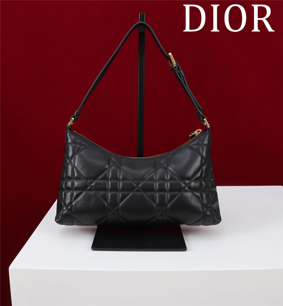 D10r 30 montaigne mini shoulder bag