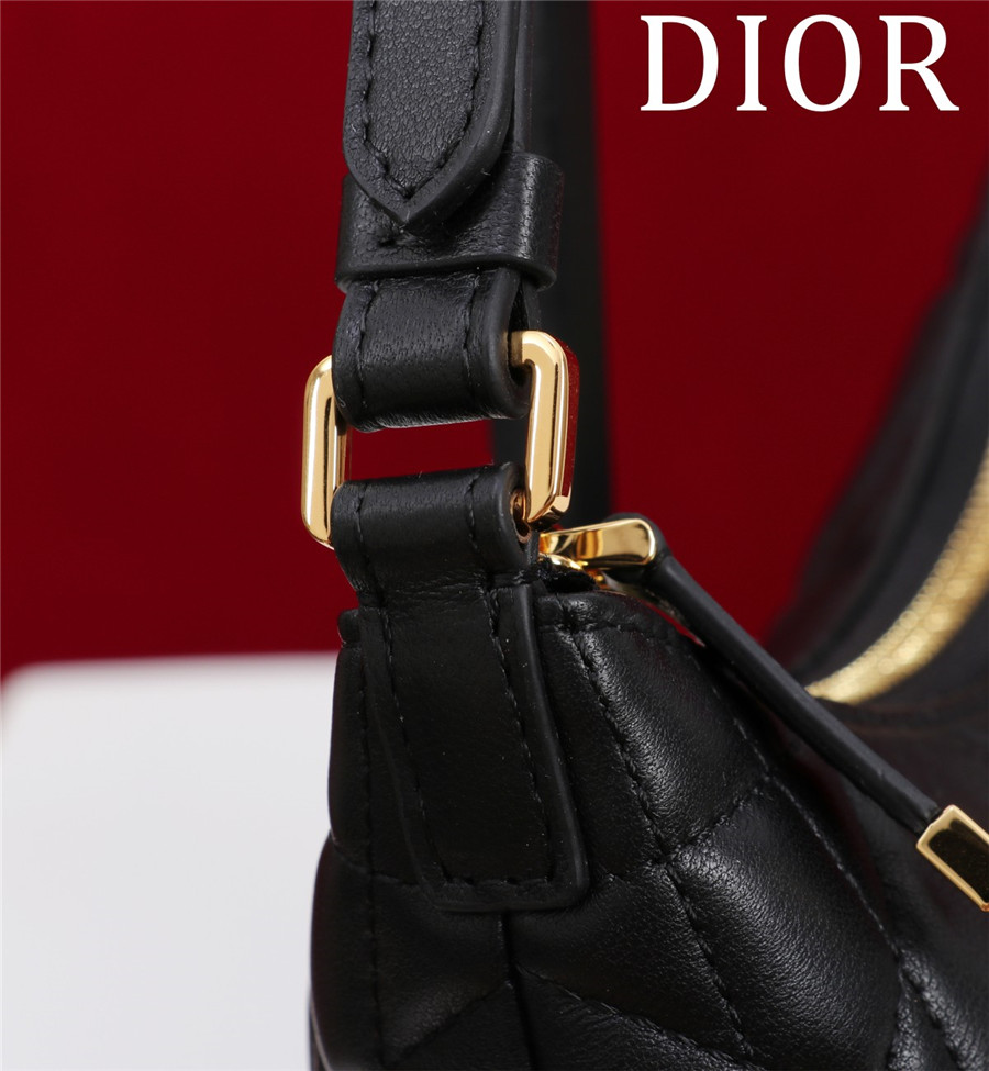 D10r 30 montaigne mini shoulder bag