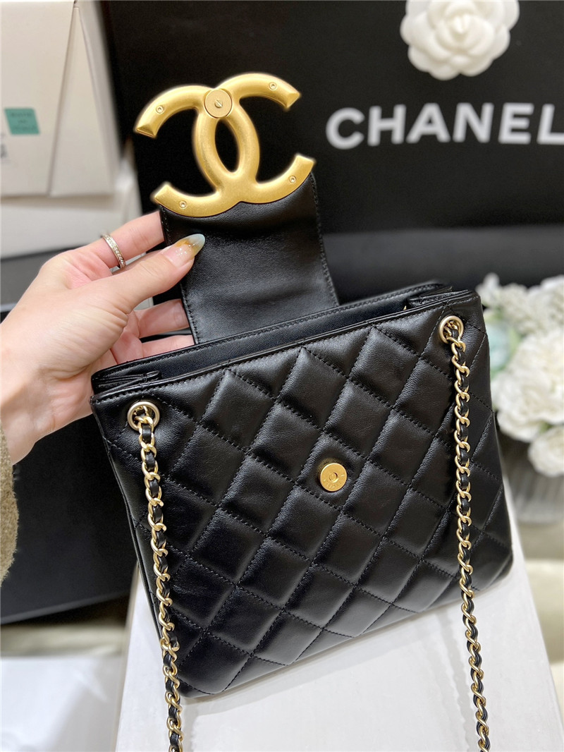 Ch**el Ch**el logo tote hobo bag