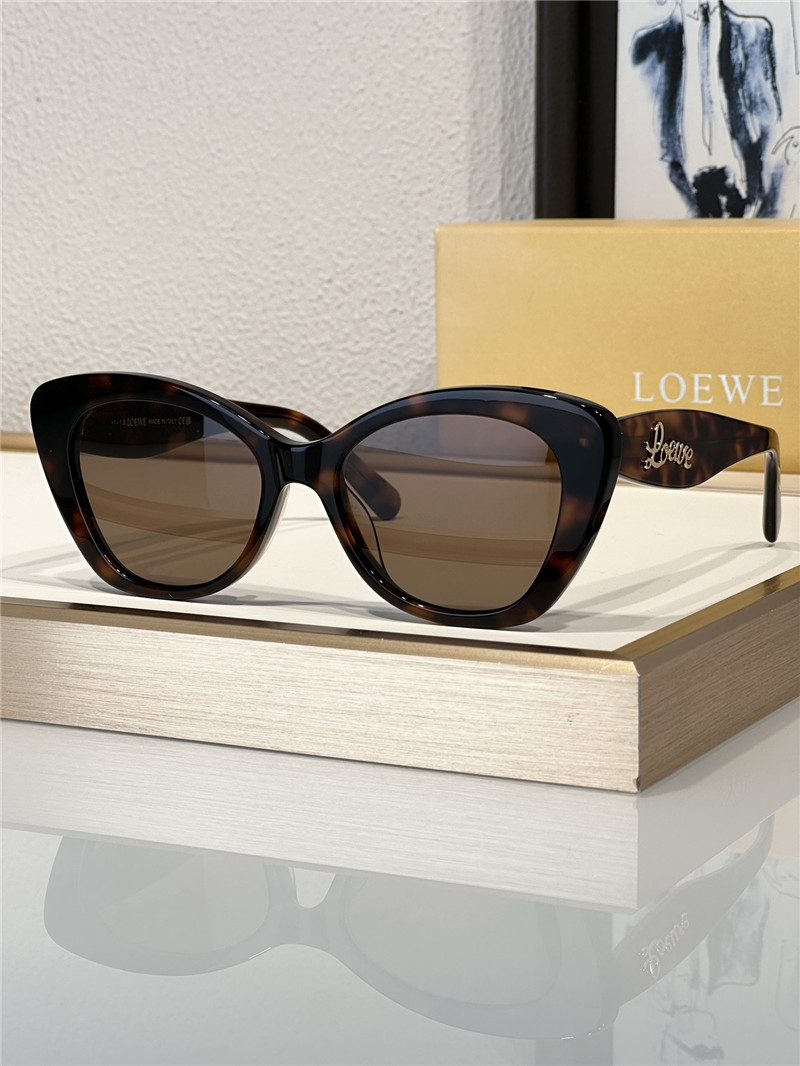 L0ew* fashionable luxury sunglasses