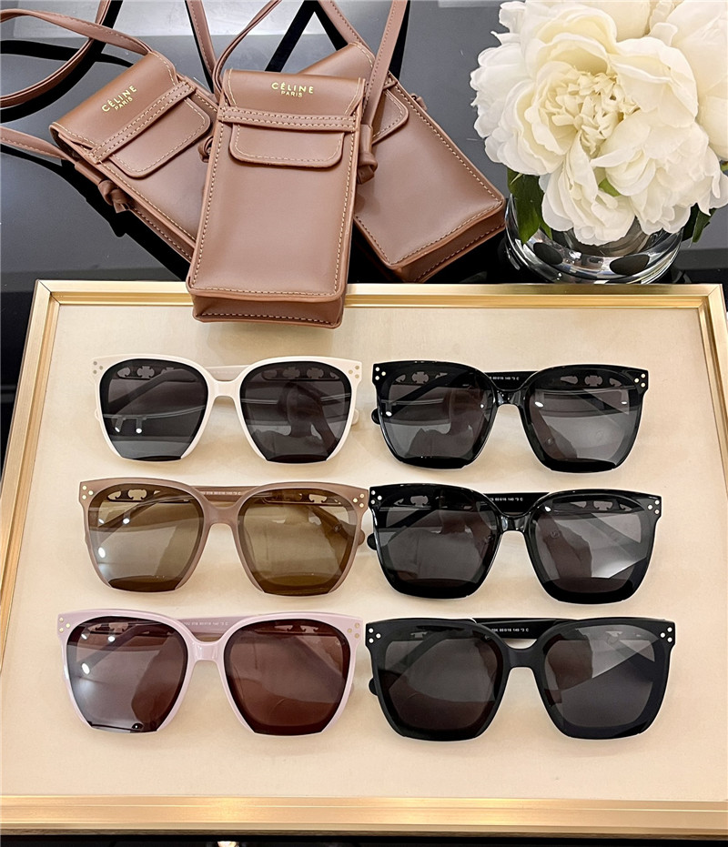Ce1i*e luxury arc de triomphe sunglasses