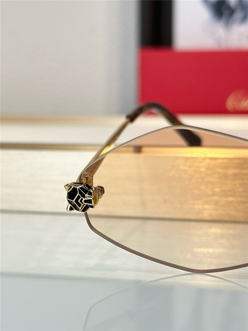 Ca*t1er stylish luxury sunglasses