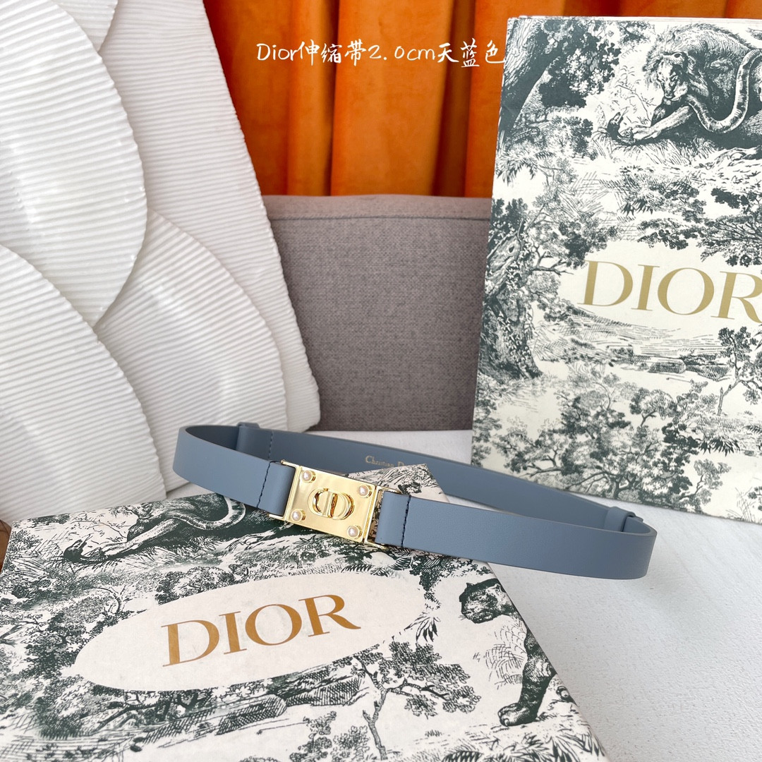 D10r popular women’s belt