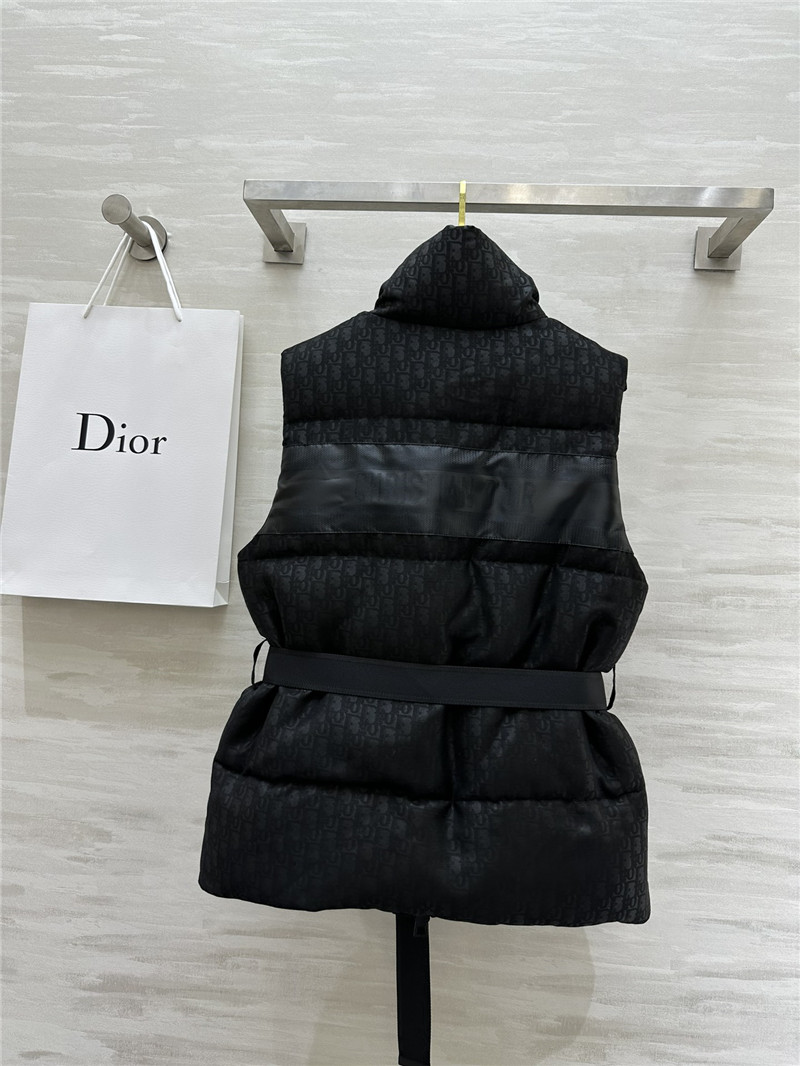 D10r stand collar jacket down vest