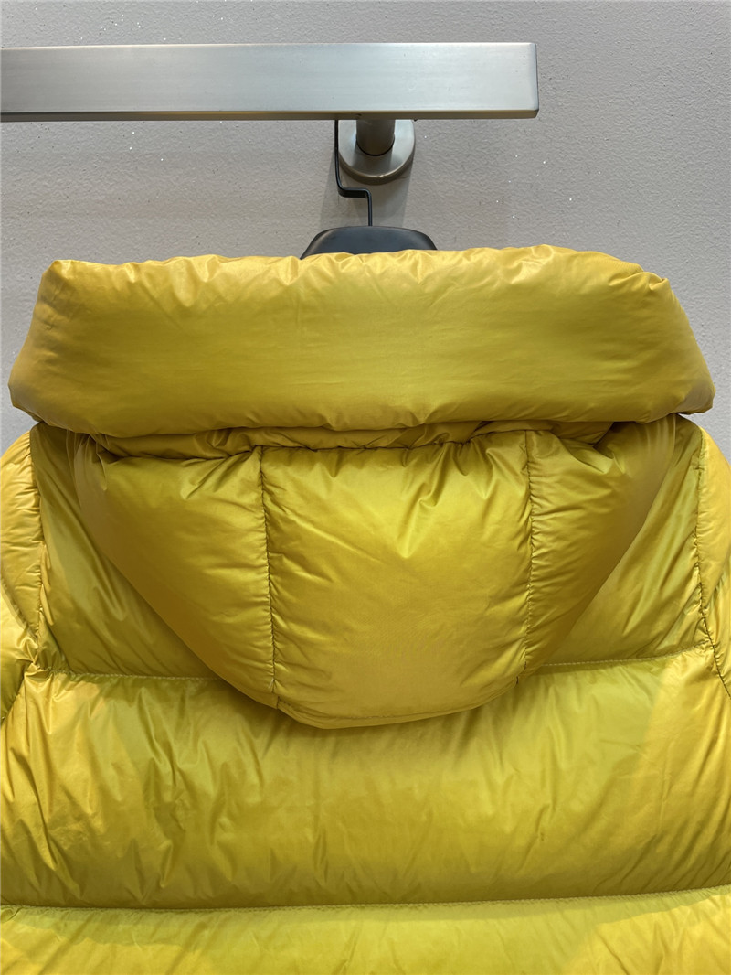 Moncler new down jacket