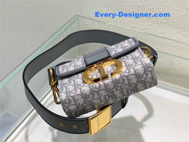 D10r 30 montaigne mini box bag