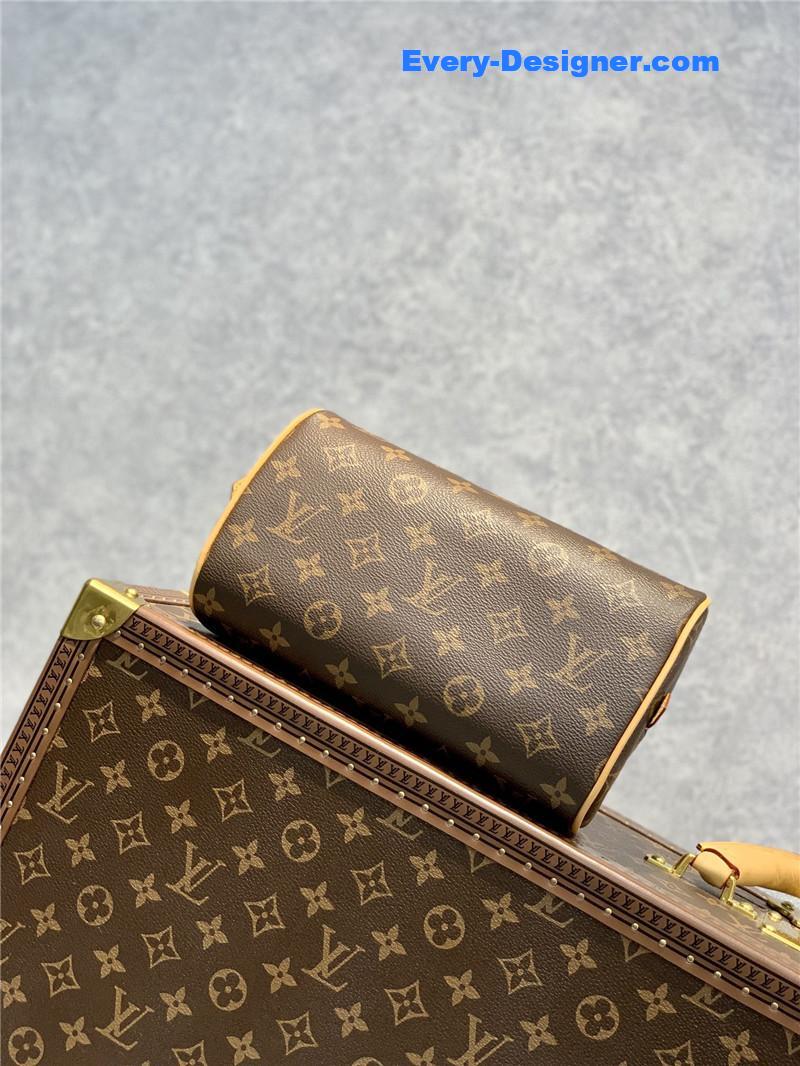 l0vis Vvtt0n lv ribera mini handbag