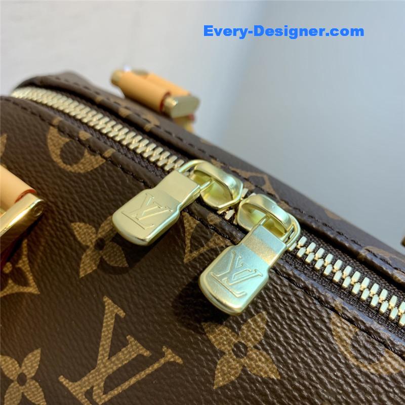 l0vis Vvtt0n lv ribera mini handbag