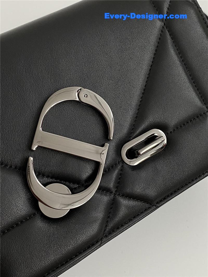 D10r caro bag celebrity bag