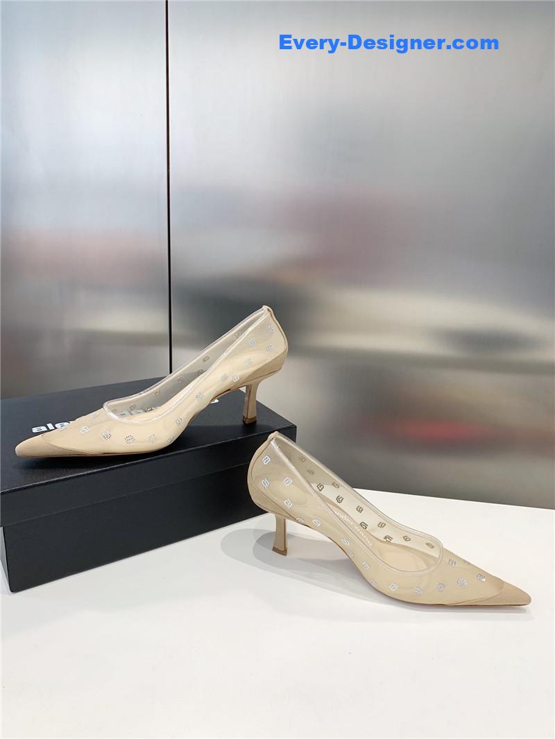 a1exa*der wang a-line D1am0nd pointed toe high heels
