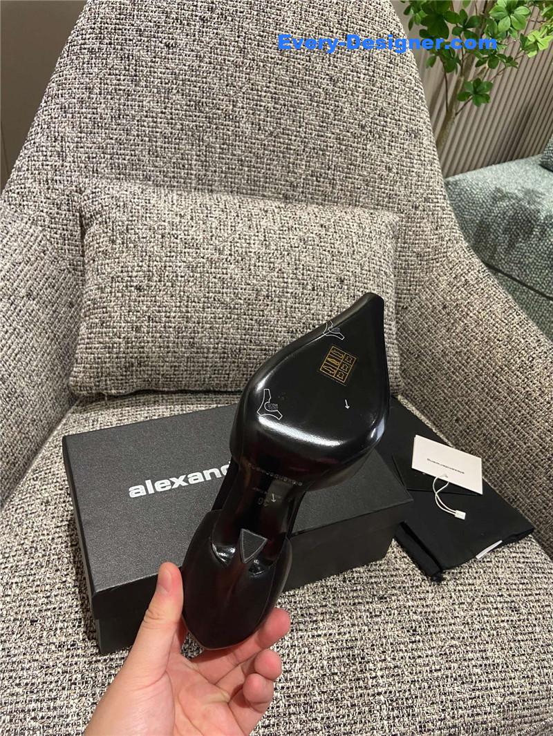 A1exa*der wang high heels